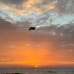 Priyal Gor Instagram - A sunset date for one 🧡