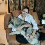 Ragini Dwivedi Instagram - MOMMY BABY Almost 2 years old and still thinks he’s the little puppy and jumps onto my lap Guess just goes to understand that no matter how old or mature we think we are … we’re always babies to our parents Be that Child always keep that innocence and heart #zuesthehusky #zuesdwivedi #raginidwivedi #ragini #trendingreels #trendingsongs #trendingaudio #trending #trend #dogsofinstagram #doglover #dogmom #husky #huskies #instagram #instalike #instadaily #ınstagood #reelsinstagram #reels #reelsvideo #reelkarofeelkaro #reelitfeelit #viralvideos Bangalore, India