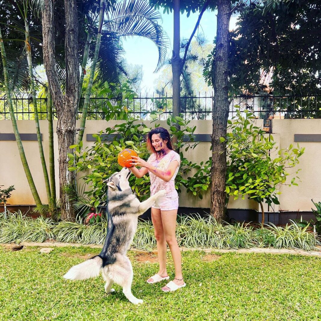 Ragini Dwivedi Instagram - HOLI 💕 ಹೋಳಿ ಹಬ್ಬದ ಶುಭಾಶಯಗಳು The arrival of spring .. end of winter Blossoming of love Meet everyone play Laugh 💕 forget and forgive and repair broken relationships Shot by @raveenarai17 #raginidwivedi #happyholi #holifestival #holihai #newyear #newbeginnings #newpost #positivevibes #happyme #festivalofcolors #colours #smile #laughingcolours #laugh #live #friendship #love #light home sweet home,Bangalore
