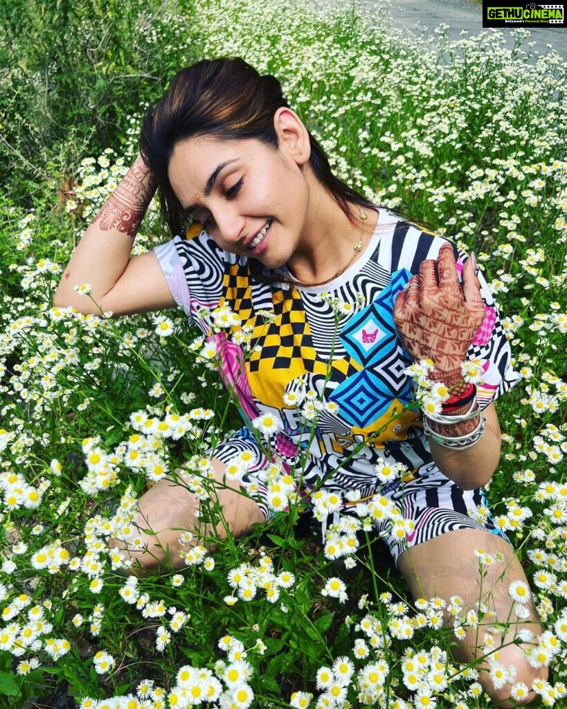 Ragini Dwivedi Instagram - DANDELIONS : the last of the season 🤪 had to take them pictures Shot @rudraksh_dwivedi #raginidwivedi #ragini #portraitphotography #photooftheday #pride #photoshoot #simplebeyond #post #positivevibes #poser #trending #trend #instagood #instalike #instafashion #instamood Kali Tiba, Chail