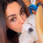 Ragini Nandwani Instagram - Good morning…… Love from MAX #goodmorning #morningreels #tuesday #likesforlike #loveanimals #againstanimalcruelty #max #pet #celebrity #viralvideos #happykids #mumbaistagram #instagood #tvactress #southactress #hot #hairgoals #dogsofinstagram