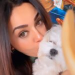 Ragini Nandwani Instagram – Good morning……
Love from MAX

#goodmorning #morningreels #tuesday #likesforlike #loveanimals #againstanimalcruelty #max #pet #celebrity #viralvideos #happykids #mumbaistagram #instagood #tvactress #southactress #hot #hairgoals #dogsofinstagram