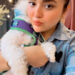 Ragini Nandwani Instagram - My life my heat @maxnandwani1 #swamisamarth #pray #max #mylife #dinnerdate #kids #jio #mumbai #lovepet #pawfriendly #summer #outdoorlife #liveurlife #happy #celebrity #hotonbeauty #kidmodel #maltese #thursday