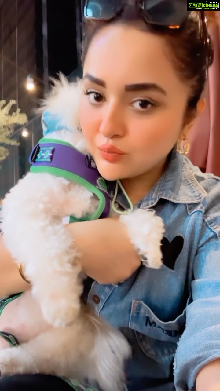 Ragini Nandwani Instagram - My life my heat @maxnandwani1 #swamisamarth #pray #max #mylife #dinnerdate #kids #jio #mumbai #lovepet #pawfriendly #summer #outdoorlife #liveurlife #happy #celebrity #hotonbeauty #kidmodel #maltese #thursday