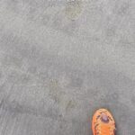 Rahul Bose Instagram - Did the same thing 364 days ago and will probably do the same 364 days from now. On one of my favourite stretches. #run #goa