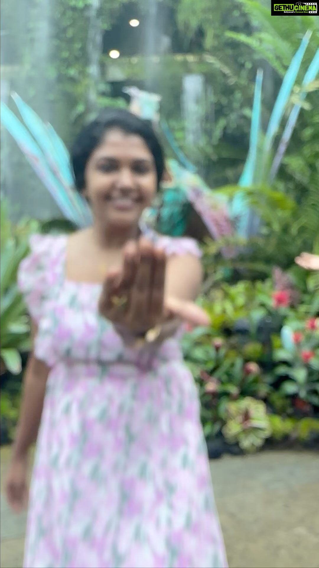 Riythvika Instagram - #avatar #avatarexperiences #singaporeavatarexperience #avatargardensbythebay #avatarmarinagardenbythebay Avatar: The Experience