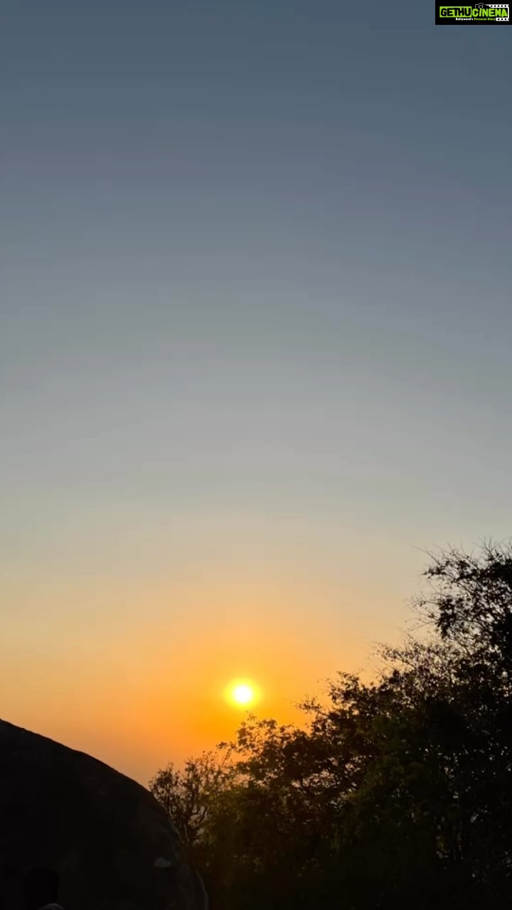 Riythvika Instagram - #natureloverđź’š #denkanikottai
