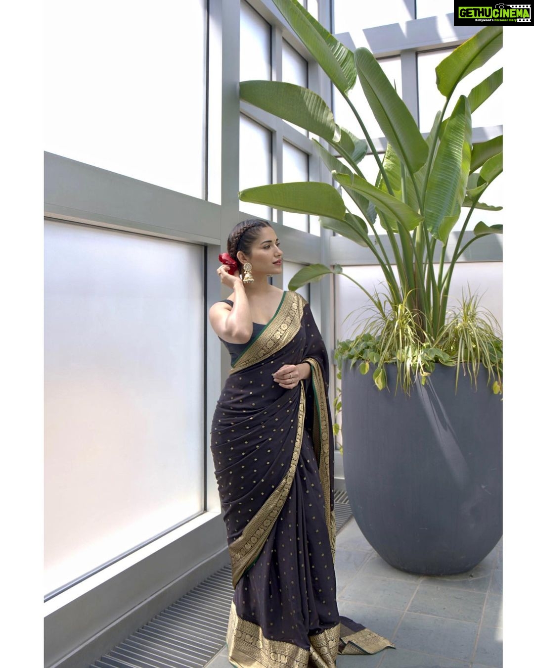 Ruhani Sharma Instagram - Eternal love for sarees ♥️ . . . . . . Wearing @singhanias_hyd Styling @__.gunjan.__ 📸 @rohanharshilphoto Columbus, Ohio