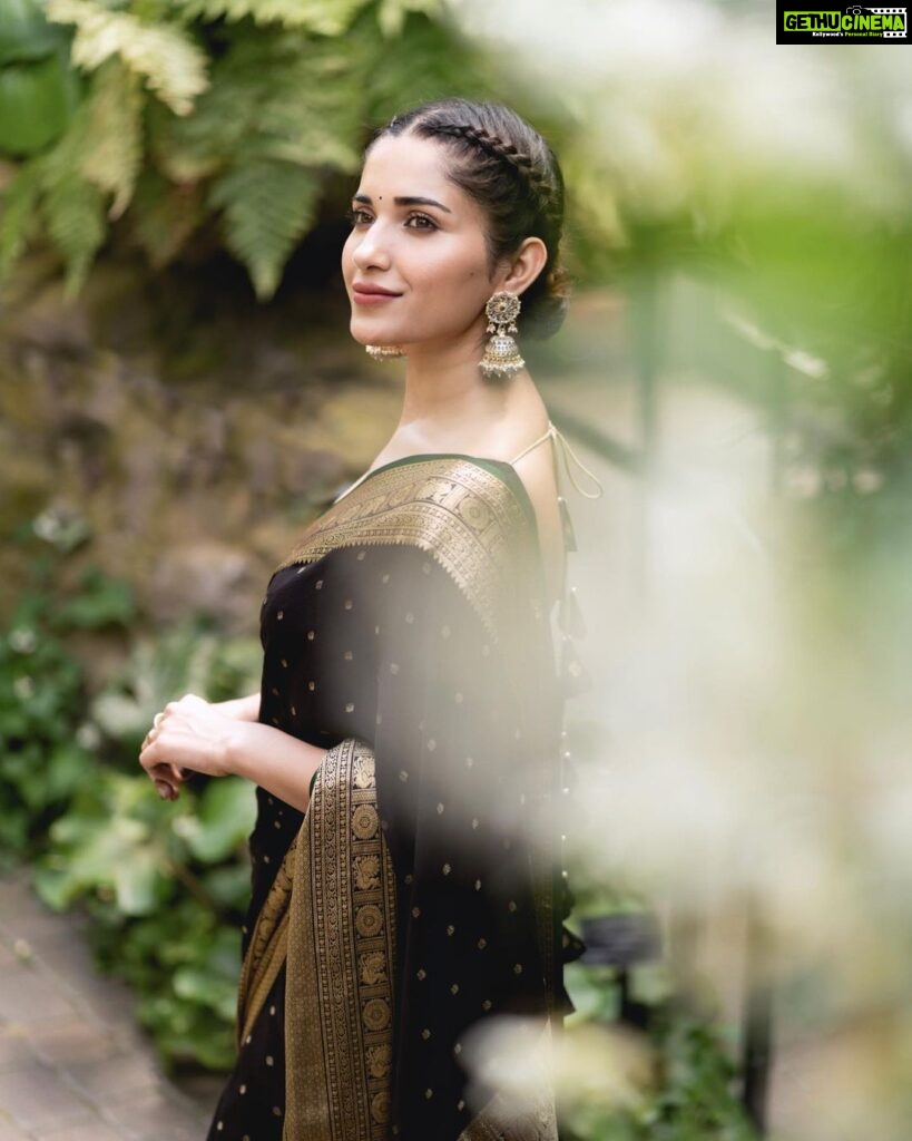 Ruhani Sharma Instagram - Eternal love for sarees ♥️ . . . . . . Wearing @singhanias_hyd Styling @__.gunjan.__ 📸 @rohanharshilphoto Columbus, Ohio