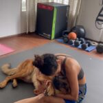 Rukmini Vijayakumar Instagram - Kong is the sweetest ♥️ He’s always confused when I say bye… he waits for me… everywhere… for ages …. outside doors. He loves playing “search”. And he lets me cuddle ‘sometimes’ #gsd #dogmom #germanshepherd #dog #puppylove #animals #dogsofinstagram #kong