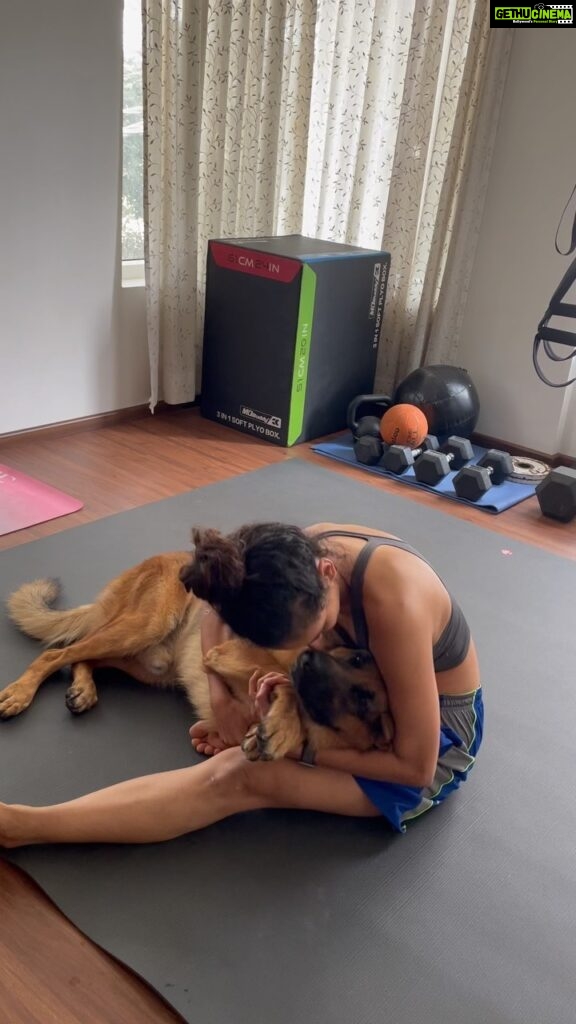 Rukmini Vijayakumar Instagram - Kong is the sweetest ♥️ He’s always confused when I say bye… he waits for me… everywhere… for ages …. outside doors. He loves playing “search”. And he lets me cuddle ‘sometimes’ #gsd #dogmom #germanshepherd #dog #puppylove #animals #dogsofinstagram #kong