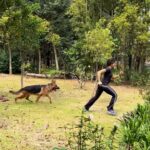 Rukmini Vijayakumar Instagram - Lots of people have been asking me questions about running… - why do I run? Isn’t dancing enough? - doesn’t running ruin my knees? - why do I run so much? - how much should one run? - how does it benefit a dancer? Answering all these questions below… - I run because I like to. It gives me time to think. I also work out a lot of my creative ideas when I’m running. I like being outside… I like the meditative rhythm of running… - Dancing isn’t enough for me… cardiovascularly speaking. I find that running helps my cardiovascular endurance and gives my heart a sustained heart rate for a longer period, helping lymphatic, endocrinal functions. It’s different from dancing with respect to health. - dance requires short bursts of speed that are a maximum of 2-3 minutes, but running is long and sustained. - no it doesn’t ruin my knees, with adequate strength and good alignment… you never get knee pain from running - I run because I like it…. - each person should run what is necessary for their sport or activity. For dance a regular 5km that’s done around 30 mins is good enough. - I don’t push for speed all the time. Most of the time I’m thinking when running…. So I run 5 km - 10 at a comfortable pace. - I also use running for recovery…. If I’m too sore from training to dance, I run - I’m also hoping that I’ll be able to run 5-10 km with my dog very soon, but right now he just pushes me over whenever he feels like it 🙄😜 #running #training #bharatanatyamdancer #indiandancer #indiandance #bharatnatyam #trainingmotivation #runner #cardio #cardiovascular