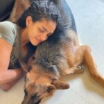 Rukmini Vijayakumar Instagram - Don’t know how he went from this to that so fast!! #kong #dogmom #gsd #germanshepherd