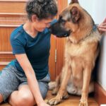 Rukmini Vijayakumar Instagram - Don’t know how he went from this to that so fast!! #kong #dogmom #gsd #germanshepherd
