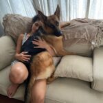 Rukmini Vijayakumar Instagram - Don’t know how he went from this to that so fast!! #kong #dogmom #gsd #germanshepherd