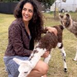 Rukmini Vijayakumar Instagram - I’ve had the best time in @australia the past week! I’ve experienced so many different things, glassblowing, skydiving, a chopper ride over the apostles, some wineries, some handmade chocolate, met some alpacas and have had the best food! I’ve actually enjoyed the food so much. I saw the @nationalmuseumofaustralia and the @nationalgalleryaus in Canberra, the @mcg in Melbourne, walked with some Lamas, visited a farm and so many other things that I cannot even begin to list. Thank you to @visitmelbourne @visitcanberra for hosting us. And @pickyourtrail for making this wonderful trip happen. Check @pickyourtrail for custom itineraries and travel destinations. #Pickyourtrail #BeSurprised #HasslefreeHolidays #seeaustralia #visitcanberra I saw kangaroos in the wild for the first time! Sorry no videos - I was too just running after them in the grasslands 🤣.