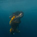 Rukmini Vijayakumar Instagram – “Matsya”, releasing on March 22nd. 
On @dancerukmini YouTube channel. 

Produced by @cycle.in_ 

A film by @dancerukmini @anupjkat @vivianambrose @ambisub 

As we start afresh on Ugadi, our new year, it becomes important for each one of us to consider how we live with respect to the world around us. Indian culture has always revered nature and all creatures that inhabit this planet. One of the most beautiful stories is of Matsya. This tiny fish grew to reveal the truth of the universe to King Satyavrata when the world was going through a period of dissolution. Once we begin to see ourselves in everything around us, we begin to empathise with all life. 

March 22nd is also celebrated as World water day. A day to pay our respects to this life force that we often take for granted. 

#Matsya #matsyathefilm #cycleagarbatti #dancer #underwater #freedive #ocean #saveourplanet #savewater #water #waterday #ugadi #oneness #indianculture #spirituality #philosophy 

 @raadhakalpa @dancerukmini @anupjkat @vivianambrose @ambisub @tharan.tandle @oneoceanonelove