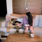 Rukmini Vijayakumar Instagram - Day 43: #100daysofinnergrowth Yesterday, Kong went after a snake. He smelled the snake in the front yard (on our farm) from over 50 ft away and ran to find it. It took me a minute to realise what he was doing and I ran after him. When I saw the big snake, I was so terrified of what might happen to kong and I was screaming to make him back off. I finally got hold of kong and pulled him away from the snake. We were all 1 ft apart, the snake, Kong and I. Later I found through google images that it was probably a rat snake which is non venomous. But there are also cobras and vipers on our farm and I don’t really know enough to recognise which snake it is so quickly - and would never take the risk. After the incident, kong just came back and sat next to me and fell asleep. I was thinking about how simple it is with animals and even children. They will put their life at risk and do something for someone they love, with no thought of “something owed” or an expected obligation. I’m a part of his pack , and I must be protected. It’s that simple. He just does what has to be done. The action was so philosophical and Vedantic in a way that I cannot explain. Made me think about it all the way home. I wish I can also learn to be like that. Duty bound - in a simple clear manner. Do what needs to be done and continue with no emotional baggage or expectations. #learningfromnature #simplelife #vedanta #innergrowth #spirituality #findingpeace #gsd #dogmom #germanshepherd