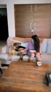 Rukmini Vijayakumar Instagram - Day 43: #100daysofinnergrowth  Yesterday, Kong went after a snake. He smelled the snake in the front yard (on our farm)  from over 50 ft away and ran to find it. 

It took me a minute to realise what he was doing and I ran after him. When I saw the big snake, I was so terrified of what might happen to kong and I was screaming to make him back off. I finally got hold of kong and pulled him away from the snake. We were all 1 ft apart, the snake, Kong and I. 

Later I found through google images that it was probably a rat snake which is non venomous. But there are also cobras and vipers on our farm and I don’t really know enough to recognise which snake it is so quickly - and would never take the risk. 

After the incident, kong just came back and sat next to me and fell asleep. 

I was thinking about how simple it is with animals and even children. They will put their life at risk and do something for someone they love, with no thought of “something owed” or an expected obligation. 

I’m a part of his pack , and I must be protected. It’s that simple. He just does what has to be done. The action was so philosophical and Vedantic in a way that I cannot explain. Made me think about it all the way home.

I wish I can also learn to be like that. Duty bound - in a simple clear manner. Do what needs to be done and continue with no emotional baggage or expectations. 

#learningfromnature #simplelife #vedanta #innergrowth #spirituality #findingpeace #gsd #dogmom #germanshepherd