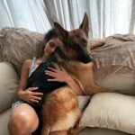 Rukmini Vijayakumar Instagram - I don’t think he realises how big he is. 🙄 He just decided to sit like this, for half an hour today afternoon forcing me to use one hand to make calls… #bestie #dogmom #gsd #gsdlove #germanshepherd #dancerlife #kongyboy
