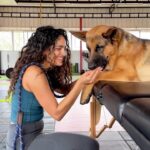 Rukmini Vijayakumar Instagram - I’ve been spending a lot of time with Kong. Training him with the help of my trainer @santhosh_powerstar and also learning a lot online, and making many things up myself. (Thaachi, crawling under the table, kiss, hug, box jumps, etc 🙄) Kong is very reactive to strangers when I’m around, so it’s been a Herculean task to get him to ignore triggers like dogs, people who come too close, scooters etc. He’s totally fine with people and even dogs when I’m not there, but he’s hyper alert and extremely reactive when I’m there. Without really researching and trying different things, Kong could have turned out to be an extremely aggressive dog, but he’s not. He’s gentle, loving and extremely protective. The effort to make him calm, and feel safe after he lost his brother and got really anxious has come from my whole family, Santhosh, as well as the househelp. Everyone is kind and loving to Kong and he’s getting better with strangers - slowly and steadily. Meanwhile, we just have fun playing with him at home because he’s the kindest sweetest cuddly fur baby. If any of you are planning on getting a dog - please remember that it’s a lot of work and that you need the time to keep them happy and active. They are pack animals and it’s inhumane to tie them up all day or to leave them alone all day. It breaks their spirit. #dogsofinstagram #gsd #germanshepherd #tryingnewthings #doglover #dogmom #gsdofinstagram