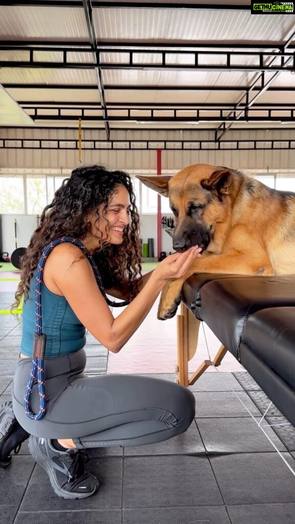 Rukmini Vijayakumar Instagram - I’ve been spending a lot of time with Kong. Training him with the help of my trainer @santhosh_powerstar and also learning a lot online, and making many things up myself. (Thaachi, crawling under the table, kiss, hug, box jumps, etc 🙄) Kong is very reactive to strangers when I’m around, so it’s been a Herculean task to get him to ignore triggers like dogs, people who come too close, scooters etc. He’s totally fine with people and even dogs when I’m not there, but he’s hyper alert and extremely reactive when I’m there. Without really researching and trying different things, Kong could have turned out to be an extremely aggressive dog, but he’s not. He’s gentle, loving and extremely protective. The effort to make him calm, and feel safe after he lost his brother and got really anxious has come from my whole family, Santhosh, as well as the househelp. Everyone is kind and loving to Kong and he’s getting better with strangers - slowly and steadily. Meanwhile, we just have fun playing with him at home because he’s the kindest sweetest cuddly fur baby. If any of you are planning on getting a dog - please remember that it’s a lot of work and that you need the time to keep them happy and active. They are pack animals and it’s inhumane to tie them up all day or to leave them alone all day. It breaks their spirit. #dogsofinstagram #gsd #germanshepherd #tryingnewthings #doglover #dogmom #gsdofinstagram