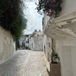 Rukmini Vijayakumar Instagram - #Ibiza . I loved the old town. It was the best part of my visit. The tiny cobblestone streets and cafés, flowers growing between quaint houses, arched wooden doorways…. Might be back for more! #Spain #traveldiaries #dancer #bharatanatyamdancer #ibiza