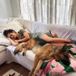 Rukmini Vijayakumar Instagram - My heart broke leaving this fellow behind this time. His loving eyes ♥️ blocking the door ☹️. Off to Estonia - Germany - Netherlands- Switzerland for performances and workshops Details in the link in my bio. Traveling is hard when you leave family behind … But I’m looking forward to seeing you all in these beautiful countries… and living shared experiences through art ♥️ #dancerlife #indiandancer #bharatanatyam #bharatnatyamdancer #lovemydog #dogmom #gsd #germanshepherd #lifewithkong