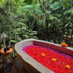 Samiksha Jaiswal Instagram – Wouldn’t be a trip to Bali without a flower Bath! 🌺

#flowerbath #desahay #bali #relax #flower #instagood #bath