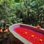 Samiksha Jaiswal Instagram - Wouldn’t be a trip to Bali without a flower Bath! 🌺 #flowerbath #desahay #bali #relax #flower #instagood #bath