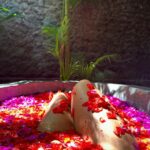 Samiksha Jaiswal Instagram - Wouldn’t be a trip to Bali without a flower Bath! 🌺 #flowerbath #desahay #bali #relax #flower #instagood #bath