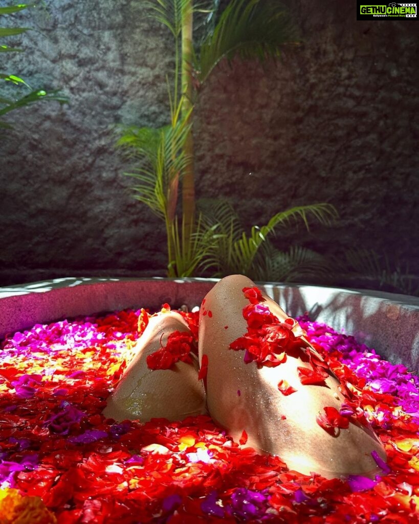 Samiksha Jaiswal Instagram - Wouldn’t be a trip to Bali without a flower Bath! 🌺 #flowerbath #desahay #bali #relax #flower #instagood #bath