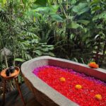 Samiksha Jaiswal Instagram - Wouldn’t be a trip to Bali without a flower Bath! 🌺 #flowerbath #desahay #bali #relax #flower #instagood #bath