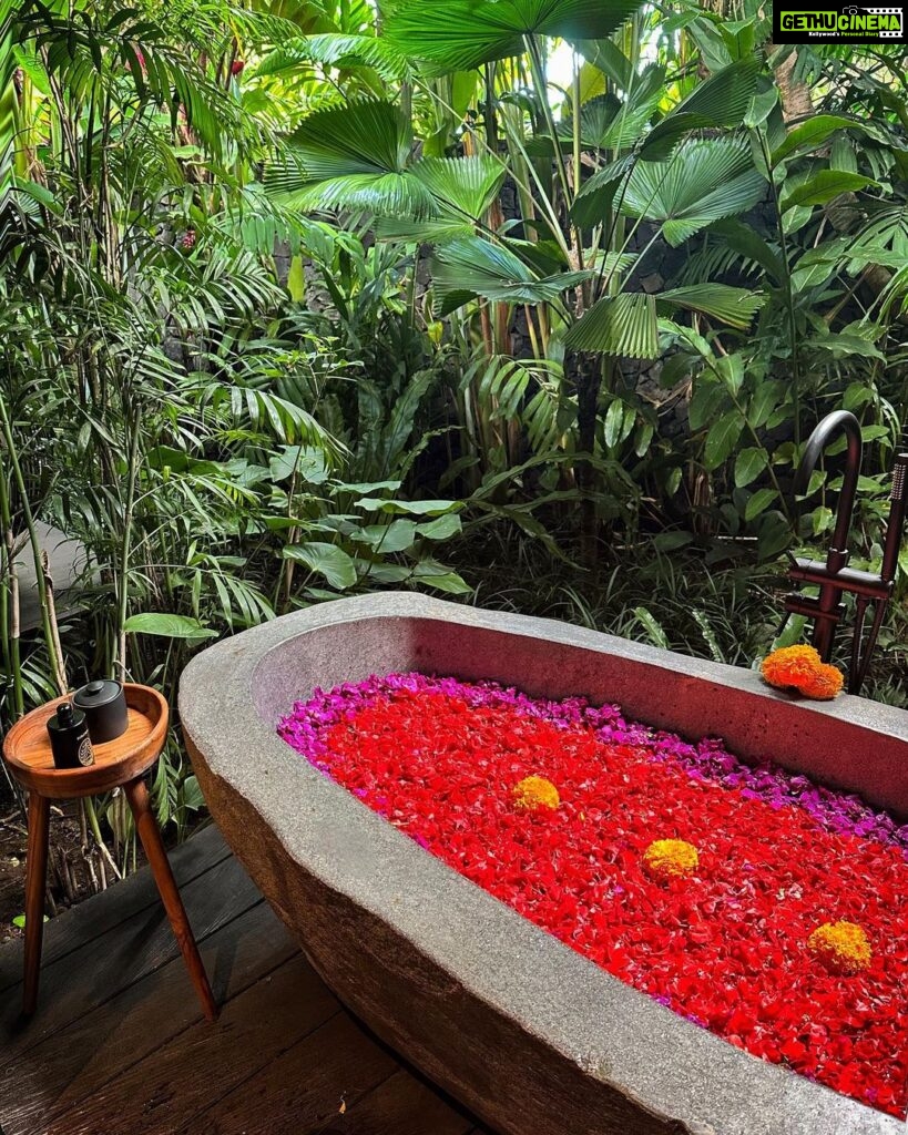 Samiksha Jaiswal Instagram - Wouldn’t be a trip to Bali without a flower Bath! 🌺 #flowerbath #desahay #bali #relax #flower #instagood #bath