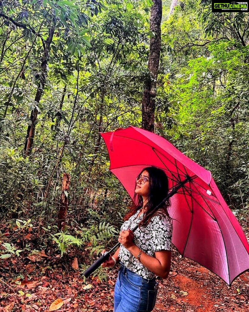 Sangeetha Sringeri Instagram - 🌳🏕️ p.c @the.austa Megur