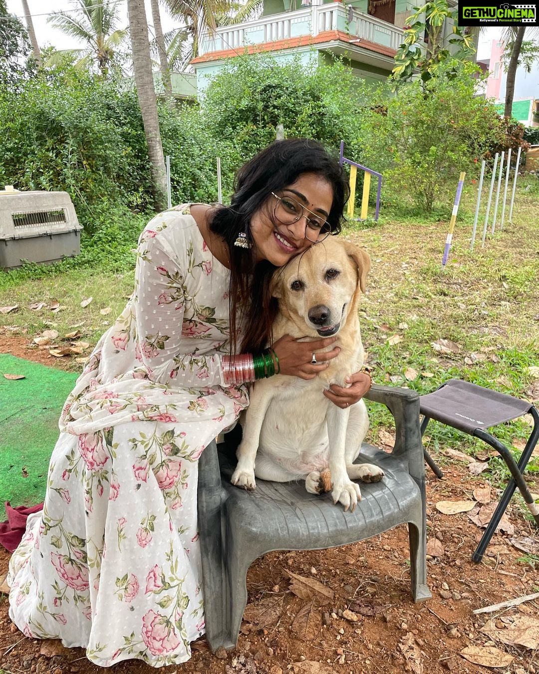 Sangeetha Sringeri Instagram - ನಾನು ನಿನ್ನೆ ನಮ್ಮ ಮುದ್ದು ಚಾರ್ಲಿಯನ್ನು ಭೇಟಿಯಾದೆ Visiting my friend Charlie after visiting Sri Chamundeshwari has become a tradition for me. She is a goddess for me, who has changed everyone's life who has worked for 777 charlie! Thank you so much @dk9pramod sir, i had an amazing amazing time at Mysuru 🙏 wardrobe courtesy @laxmikrishnaofficial #777charlie Mysore, Karnataka