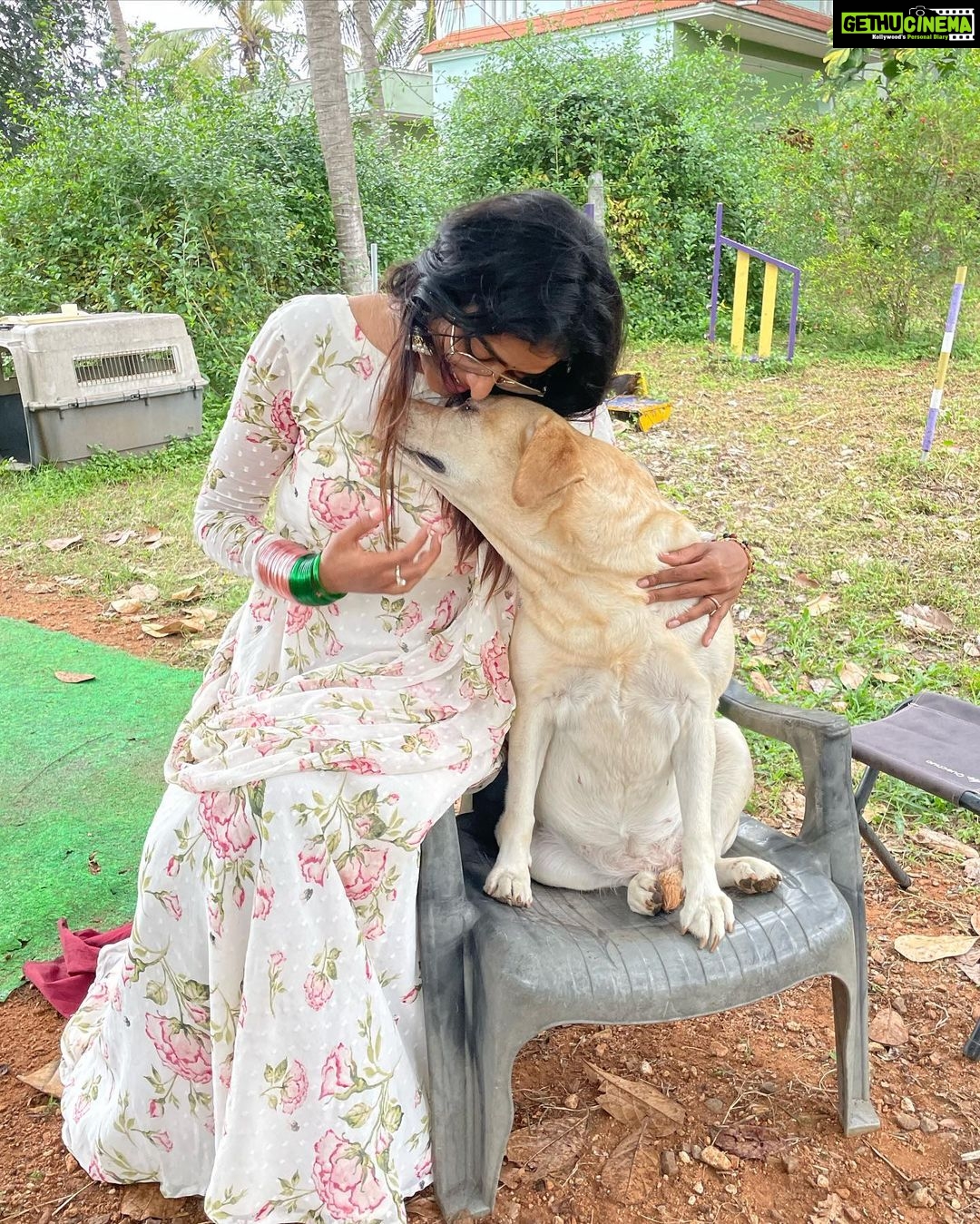 Sangeetha Sringeri Instagram - ನಾನು ನಿನ್ನೆ ನಮ್ಮ ಮುದ್ದು ಚಾರ್ಲಿಯನ್ನು ಭೇಟಿಯಾದೆ Visiting my friend Charlie after visiting Sri Chamundeshwari has become a tradition for me. She is a goddess for me, who has changed everyone's life who has worked for 777 charlie! Thank you so much @dk9pramod sir, i had an amazing amazing time at Mysuru 🙏 wardrobe courtesy @laxmikrishnaofficial #777charlie Mysore, Karnataka