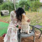 Sangeetha Sringeri Instagram - ನಾನು ನಿನ್ನೆ ನಮ್ಮ ಮುದ್ದು ಚಾರ್ಲಿಯನ್ನು ಭೇಟಿಯಾದೆ Visiting my friend Charlie after visiting Sri Chamundeshwari has become a tradition for me. She is a goddess for me, who has changed everyone's life who has worked for 777 charlie! Thank you so much @dk9pramod sir, i had an amazing amazing time at Mysuru 🙏 wardrobe courtesy @laxmikrishnaofficial #777charlie Mysore, Karnataka
