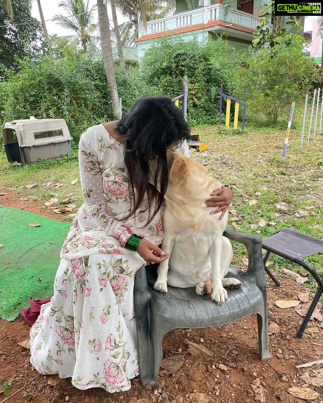 Sangeetha Sringeri Instagram - ನಾನು ನಿನ್ನೆ ನಮ್ಮ ಮುದ್ದು ಚಾರ್ಲಿಯನ್ನು ಭೇಟಿಯಾದೆ Visiting my friend Charlie after visiting Sri Chamundeshwari has become a tradition for me. She is a goddess for me, who has changed everyone's life who has worked for 777 charlie! Thank you so much @dk9pramod sir, i had an amazing amazing time at Mysuru 🙏 wardrobe courtesy @laxmikrishnaofficial #777charlie Mysore, Karnataka
