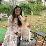 Sangeetha Sringeri Instagram - ನಾನು ನಿನ್ನೆ ನಮ್ಮ ಮುದ್ದು ಚಾರ್ಲಿಯನ್ನು ಭೇಟಿಯಾದೆ Visiting my friend Charlie after visiting Sri Chamundeshwari has become a tradition for me. She is a goddess for me, who has changed everyone's life who has worked for 777 charlie! Thank you so much @dk9pramod sir, i had an amazing amazing time at Mysuru 🙏 wardrobe courtesy @laxmikrishnaofficial #777charlie Mysore, Karnataka