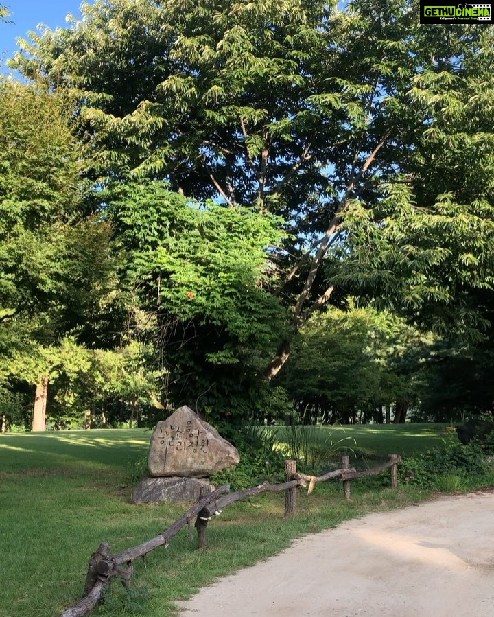 Sanjeeta Bhattacharya Instagram - A sunny Day 1 at Nami Island, South Korea. Wore my mother’s sari, my bestie playing beside me, the audience waiting to know a taste of the music from where we come from. We sang my stories and those of our land. Thank you for listening, @namiisland_naminara ! Saranghaeyo💛 Grateful to you for making this happen, @seherindia 🙌🏻 #ibelieve #iykyk Nami Island, Gangwon-Do, South Korea