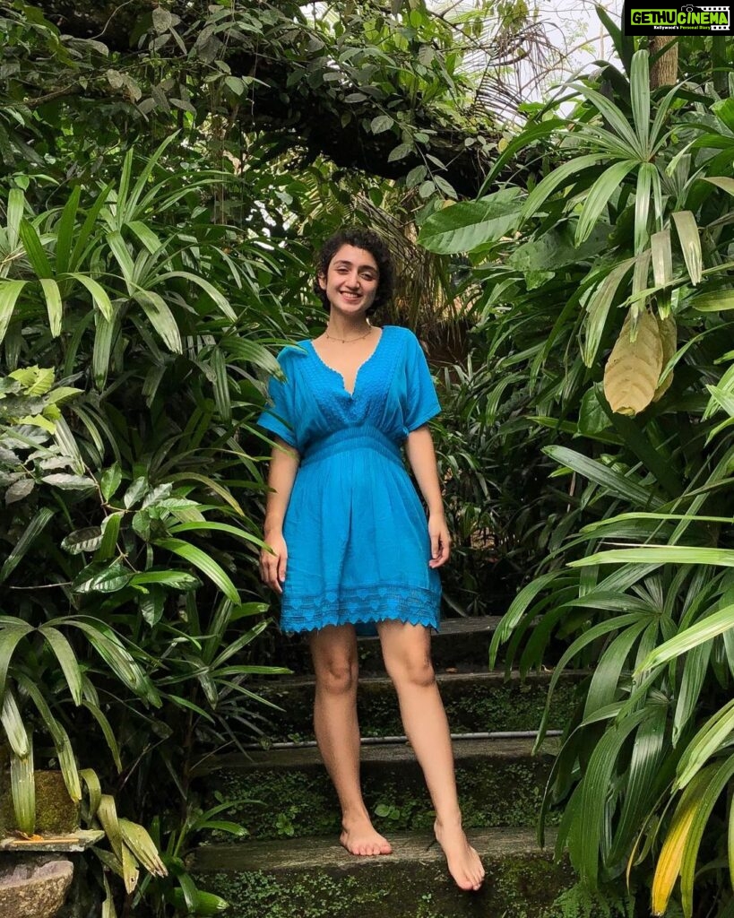 Sanjeeta Bhattacharya Instagram - It’s a good day to be swallowed by green, walk the rice terraces and swing through them, have Rosella tea, try kopi luwak, eat some delish Nasi Goreng and be incredibly grateful for these moments. 🌴🌾☕️ Tegallalang, Bali, Indonesia