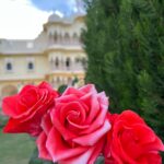 Sanjeeta Bhattacharya Instagram - Spring has sprung and how I’ve known it these past couple of months. ☀️ Days of wine and roses. Here, There and Everywhere
