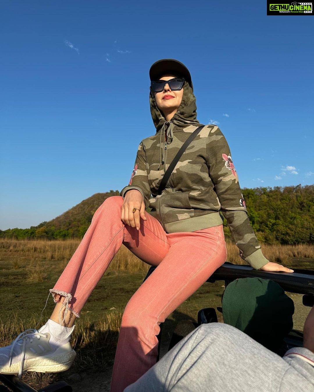 Saumya Tandon Instagram - Photo dump . Forrest trip