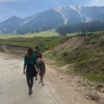 Saumya Tandon Instagram - Love my country . Nothing like India. Ve main sare ghumm ke vekhia Amrika, roos, malaysia Tere bin sanu sohnia Koi hor nahio labhna #kashmir #saumyatandon #travel #travelphotography Doodh Pathri,badgam,kashmir
