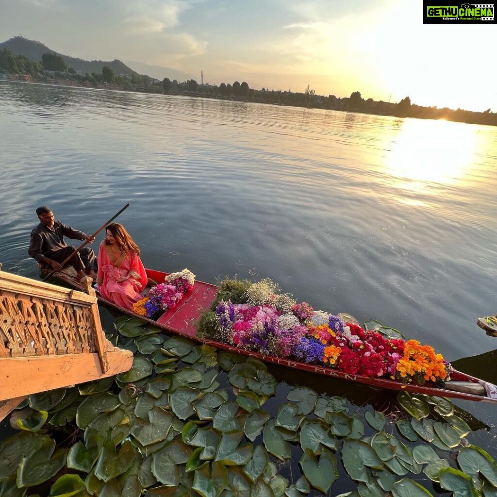 Saumya Tandon Instagram - From Jannat. #kashmir #dal #dallake #travel #travelphotography . #saumyatandon Shot by @xulkarnain Dal Lake Srinager