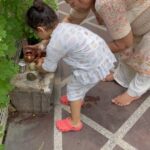 Shikha Singh Instagram - All North Indians will relate to this - summer vacations are always going to Nani house & none can replace grandparents love. The same mother who was so strict with us became so lenient with the grand kids. Such core memories for me to see @alaynasinghshah bonding with her Sunita Nani ❤️ #memories #corememories #nani #nanihouse #grandma #love #pure #purelove #blessed #grateful #reel #reels #reelsvideo #reelsinstagram #insta #instagram #instagood #thankgod
