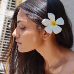 Shritama Mukherjee Instagram - When Mr. Husband brings you freshly picked plumeria, you wear them in your hair and feel like hawaiiii 🌊🌸🥰 Flower Courtesy: @akash_r_sahni🤍 #floralaccessories #hawaiivibes #summer2023 Mumbai, Maharashtra