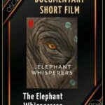 Sshivada Instagram – Such a proud moment …Congratulations!!!

#rrr #elephantwhisperers #theoscars