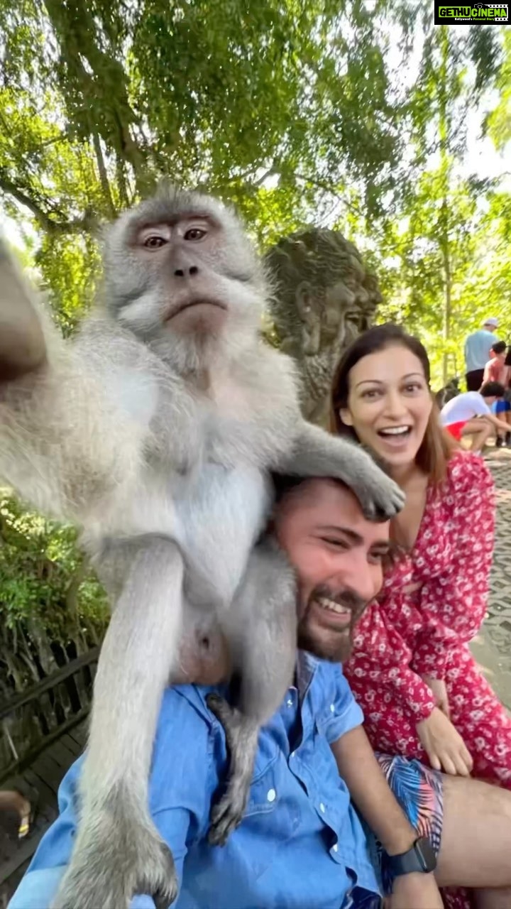Sunayana Fozdar Instagram - The most requested “Behind the scenes “ had to reveal the “mystery monkey selfie” 🐒😂🙈 I won’t lie I was sooo scared initially but as soon as our lil friend 🐒 came to me I felt a certain easy and so happyyyyy! And yea there are really harmless unless they feel threatened…in that case harmless than most humans😂✌️ #ubudmonkeyforest must go 👍 for the experience to see them in their natural habitat is the best! Video credits 🎥 /our patient driver and guide who was so so good and helpful and spoke English took our pics videos (personally recommend to call him for all your tour needs if you visit bali 👉🏼 @kurniapuspita_p #monkeyforestubudbali #wildlife #naturelover #ubud #thingstodoinubud
